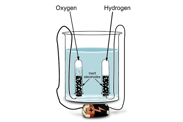 Electrodes were put into water and covered with test tubes to capture gas